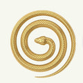 COIL-Libre 2/2+ Gold